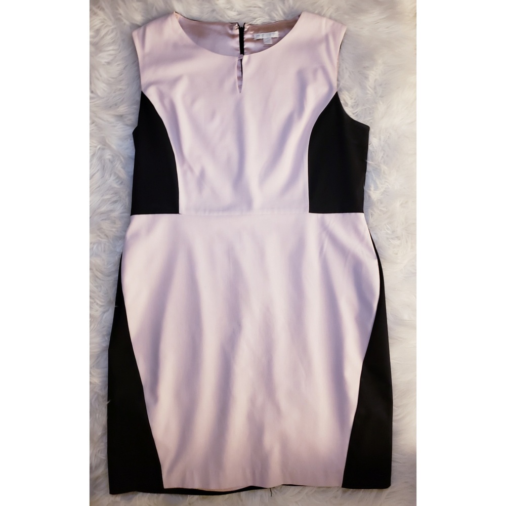 New York & Company Dress
